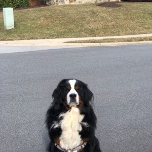 Meet your Posher, Cynthia